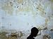 Boy Passing by Wall, Tozeur, Tunisia Photographic Poster Print by Martin Lladó, 24x18