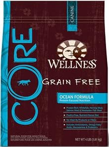 Wellness CORE Ocean Formula Dry Dog, 26-Pound Bag