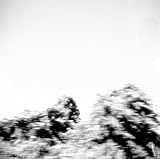 Pictures by Pay Money To My Pain 【並行輸入品】