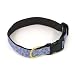 Pet Supplies : Curly Q Dog Collar - Large (15-21L x 1W)