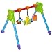 Taf Toys Junior Gym