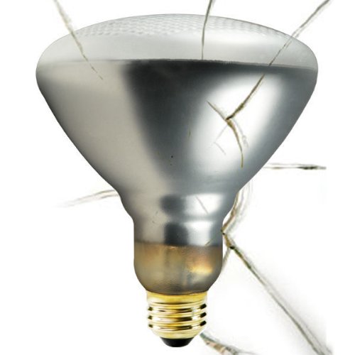 Shatter Resistant - 250 PLT 404066