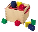 1438 Sorting Box - Dexterity toy