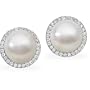 18K Palladium White Gold Paspaley South Sea Cultured Fine Button Pearl and Diamond Earrings