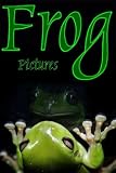Frog Pictures