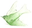 Lukeke Bird