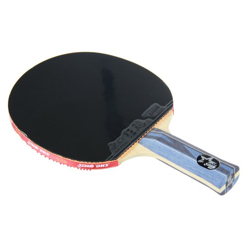 DHS X5003 (FL) New X-Series SUPERSTAR Table Tennis Racket