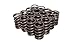 Competition Cams 925-16 Dual Valve Spring