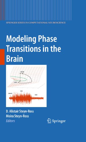 Modeling Phase Transitions in the Brain: 4 (Springer Series in Computational Neuroscience)