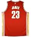 Lebron James Away Red Jersey Unframed 32629
