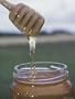 Honey Dripping from Wooden Spoon Into Jar Photographic Poster Print, 36x48