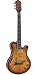 Michael Kelly Hybrid Special Electric Guitar, Quilt Honey Burst