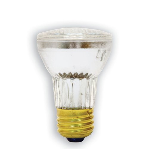 GE 47578 60-Watt Edison Light Bulb
