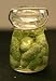 Miniature Artisan Dill Pickles in a Glass Canning Jar