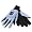 North Carolina Tar Heels