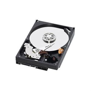 Western Digital WD3200AAKX Disque dur Interne 320 Go 3,5" SATA