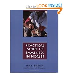 Practical Guide to Lameness in Horses