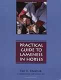 A Practical Guide to Lameness in Horses