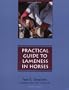 Practical Guide to Lameness in Horses