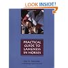 Practical Guide to Lameness in Horses