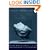 How Beautiful It Is And How Easily It Can Be Broken: Essays