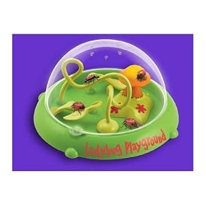 Ladybug Playground, Live Ladybug Viewer