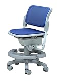 Ergokids (エルゴキッズ) 子供用 メッシュチェア 【プレミアム】 ブルー  premium blue