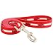 Arkansas Razorbacks Cardinal 6' Dog Leash