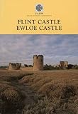 Flint Castle, Ewloe Castle