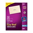 750CT ADDRESS/SHIPPING CLEAR LABELS 1X2-5/8 FOR INKJETS