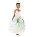 Disney Princess and the Frog Tiana Fancy Dress costume - Bayou Bridal Gown - ...