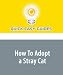 Search : How To Adopt a Stray Cat