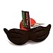 Silly Faces Mustache Pet Toy