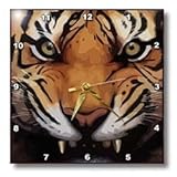 IMAGE OF Eye of the Tiger - 10x10 Wall Clock