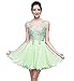 Babyonline Women's Chiffon Prom Dresses 2016 Summer Short Evening Cocktail Gowns