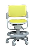 Ergokids (エルゴキッズ) 子供用 メッシュチェア 【プレミアム】 イエロー  premium yellow