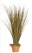 Fall Arrangement Onion grass Size-24" H x 12" W
