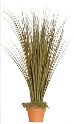 Fall Arrangement Onion grass Size-24" H x 12" W