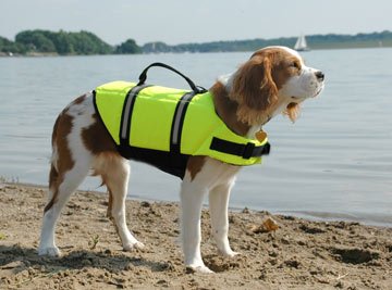 Childrens Toyshop  Sporting Goods : Small Dog Lifejacket: Paws Aboard Doggy Life Jacket (S)