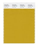 UPC 848826010083 product image for PANTONE SMART 16-0953X Color Swatch Card, Tawny Olive | upcitemdb.com
