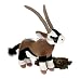 Gemsbock Antelope Gazelle 13
