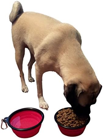 BPA Free!! Dogadishious Set of 3 Collapsible Travel Dog Food Water Bowls, with 3 Carabiners (Blue/Green/Red)