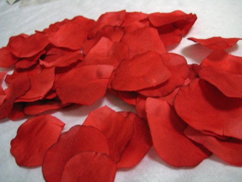 Childrens Toyshop  Spielwaren : Rosenblätter Streublüten Rot 100 Stück Deko Hochzeit