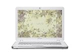Sony VAIO VGN-CR510E/J 14.1-inch Laptop (2.0 GHz Intel Core 2 Duo T5750 Processor, 3 GB RAM, 250 GB Hard Drive, Vista Premium) Silver
