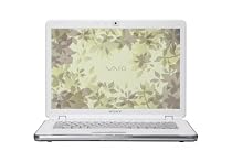 Sony VAIO VGN-CR510E/J 14.1-inch Laptop (2.0 GHz Intel Core 2 Duo T5750 Processor, 3 GB RAM, 250 GB Hard Drive, Vista Premium) Silver