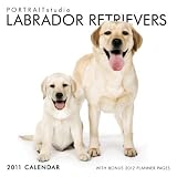 \"Labrador
