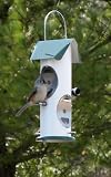 Squirrel Proof Bird Feeder Thi - Green