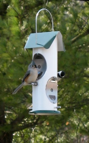 Metal Bird Feeder for 1qt Green