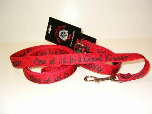 Dog Collar/ Leash Set