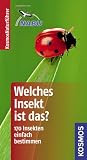 Welches Insekt ist das?: 170 Insekten einfach bestimmen - Heiko Bellmann